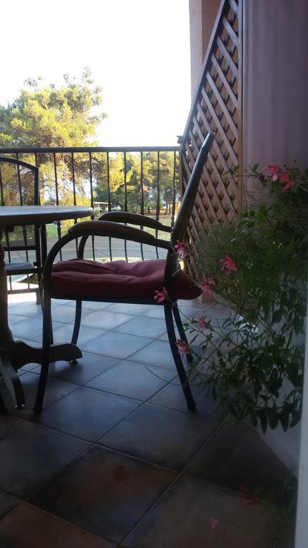 Apartments Blanca Vodice Szoba fotó
